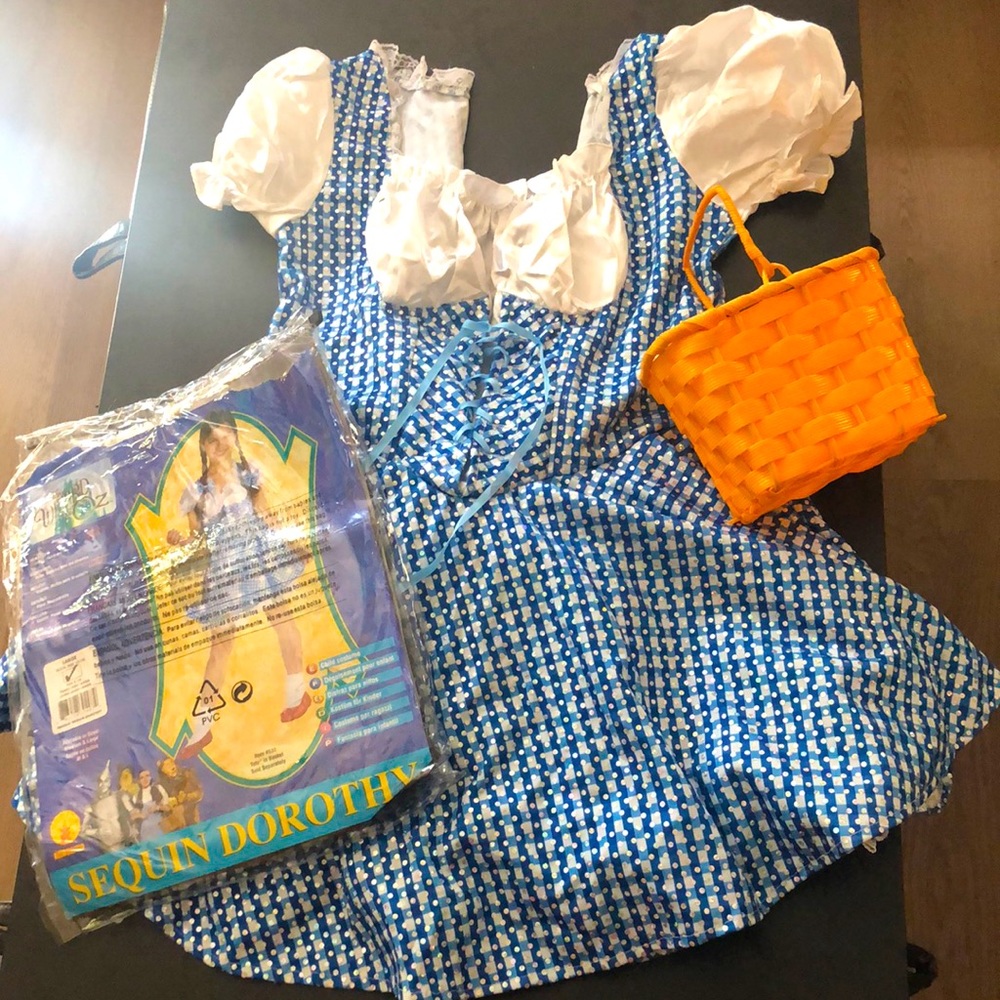 Dorothy from Wizard of Oz costume